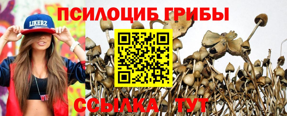 сколько стоит  Галлюциногенные грибы мухоморы  Вход с VPN  Дубна 